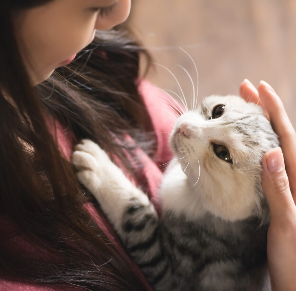 An Asian woman play with her kitten at home.